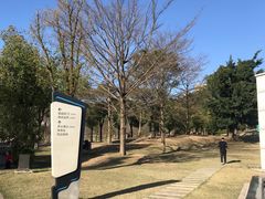 -牛岗山公园