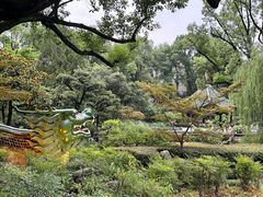 -申粤轩酒楼·三十年粤菜经典(丁香花园店)