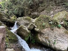 -青城山