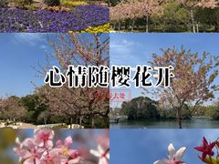 -新江湾城公园