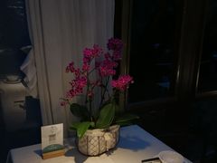 -春暖花开(西溪店)