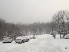 -亚布力新体委滑雪场