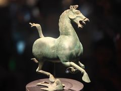 -甘肃省博物馆