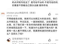 -chicken plus韩国炸鸡(城阳店)