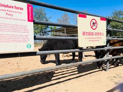 -秦皇岛野生动物园