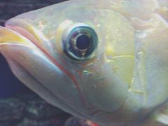 -多彩贵州城极地海洋世界