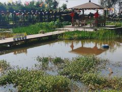 -同銮特种养殖场·龙虾垂钓