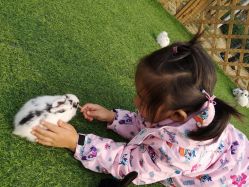 -萌宠亲子动物乐园(槐房万达店)