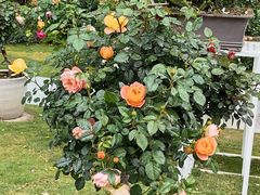 -人民公园(罗湖区)