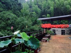 -将军关探险漂流