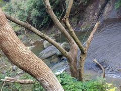 -宁波五龙潭景区