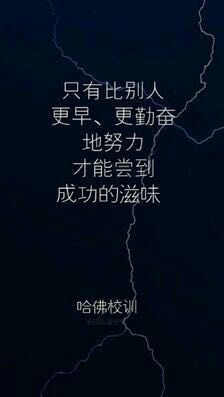 -黑龙茶HEYLONGCHA