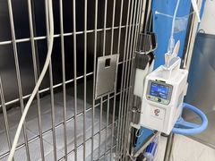 -美联众合动物医院·24h京西诊疗中心