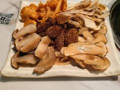 -蘑统田下·野生菌火锅