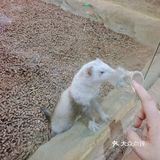 滋味川味，辣中带鲜