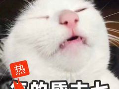 -一品方糕专卖店