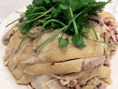 白斩鸡-振鼎鸡(福州路店)