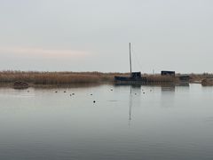 -苏州太湖湖滨国家湿地公园