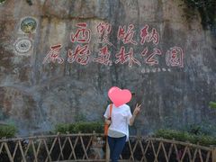 -西双版纳原始森林公园