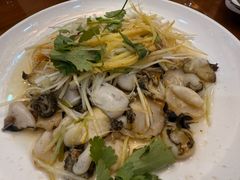 -春妮海味饭店·海景餐厅·海菜包子·大连海鲜
