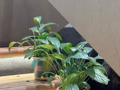 -滇铺子·云南特色菜·鲜花野菜季(东风东路c86店)