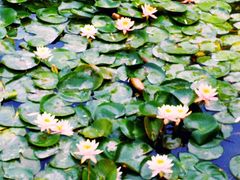 -南通濠河风景名胜区