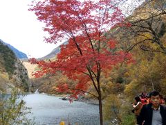 -叠溪松坪沟景区