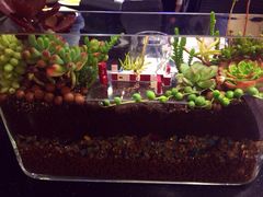 iphone_upload_pic-妈妈的味道(工人体育场东路店)