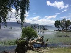 -大理洱海