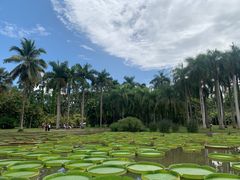 -中国科学院西双版纳热带植物园