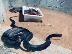 -西安秦岭野生动物园