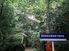 -炎陵县神农谷国家森林公园