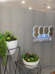 -八佰伴8008星级形象店