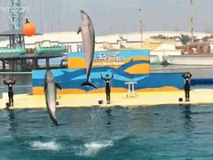 -秦皇岛乐岛海洋王国