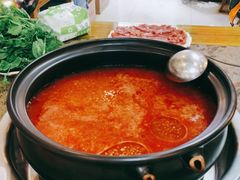 -乳仔牛牦牛汤锅 烤羊排(松潘古城店)
