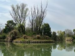 -西溪国家湿地公园