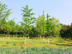 -永定河休闲森林公园