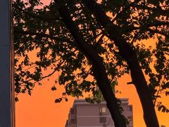 -爱康国宾体检中心(总部基地分院)