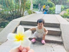 -晓港公园