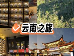 -云南民族村