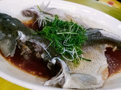 清蒸鲩鱼-沙溪佬食店(福生东街店)