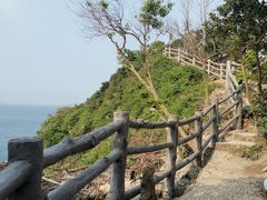 -杨梅坑