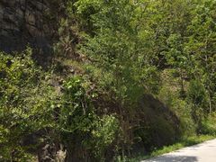 -洛阳白云山景区