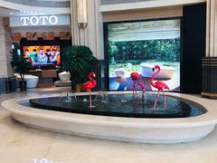 -上海月星家居(澳门路店)