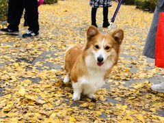 -百林公园-两江幸福广场