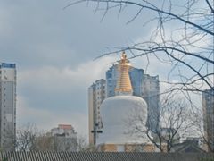 -护国法轮寺