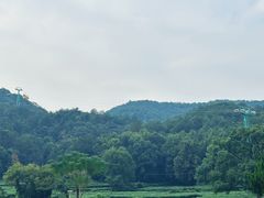 -灵顺寺
