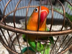 -老湘亲·品鉴湘菜(蔡塘爱琴海店)