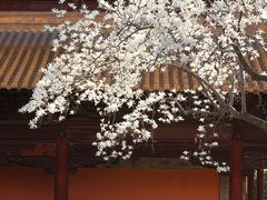 -鸡鸣寺