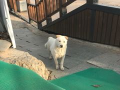 -狼牙山风景区